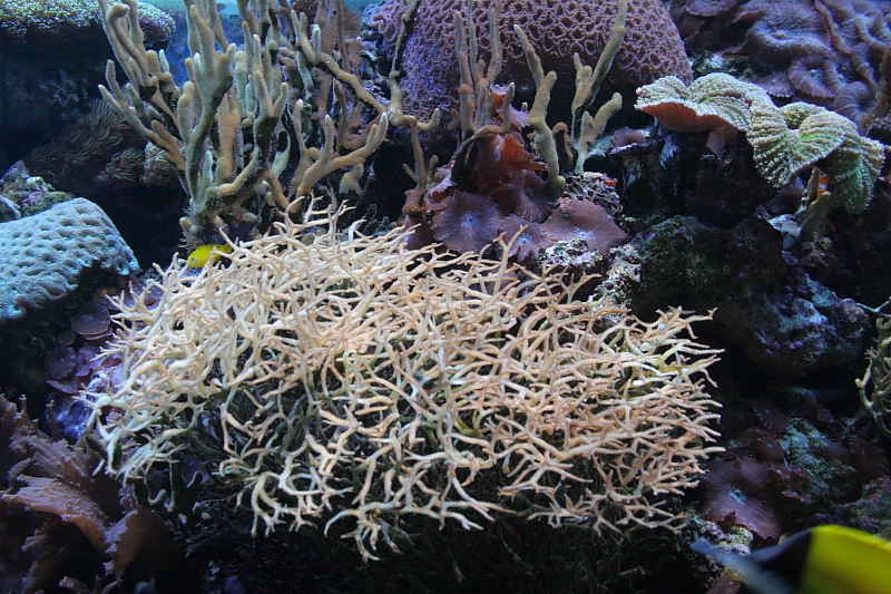 Killikus&reg; Fotographie